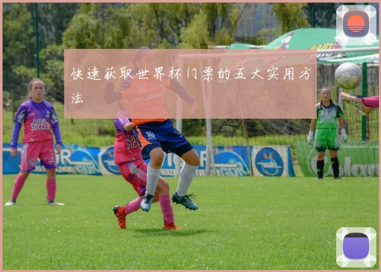 快速获取世界杯门票的五大实用方法